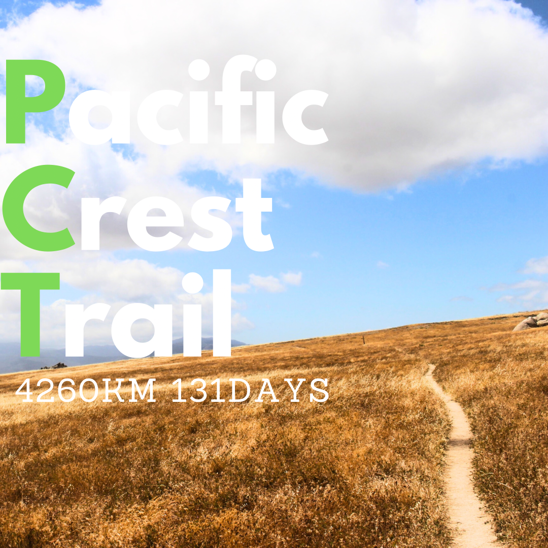 【予約販売】World Gift -PCT-