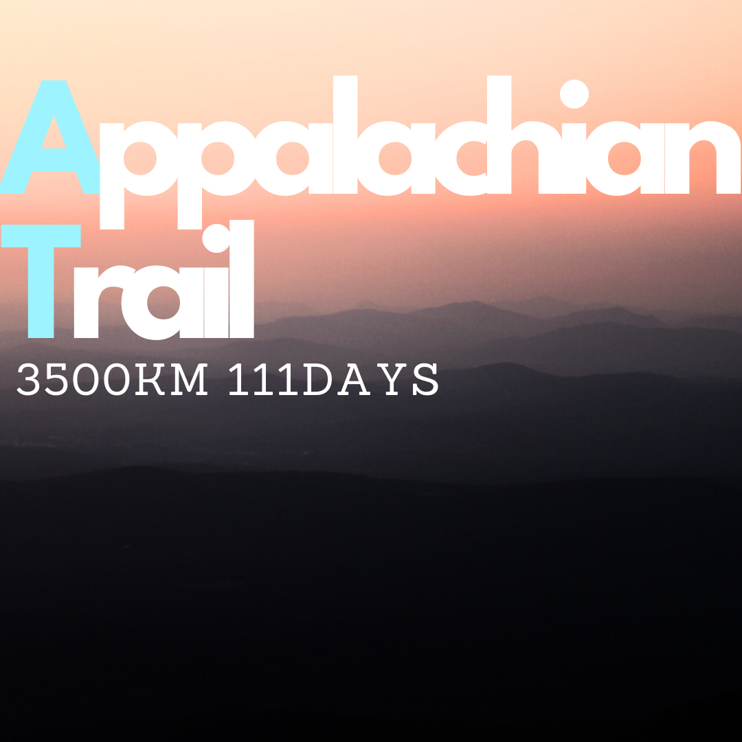 【予約販売】World gift -AT-