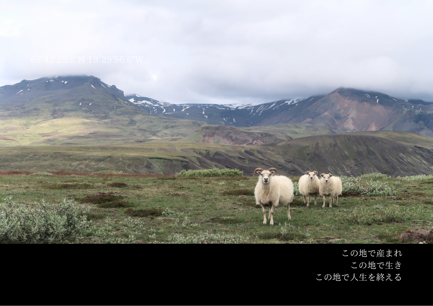 World Gift 2025カレンダー