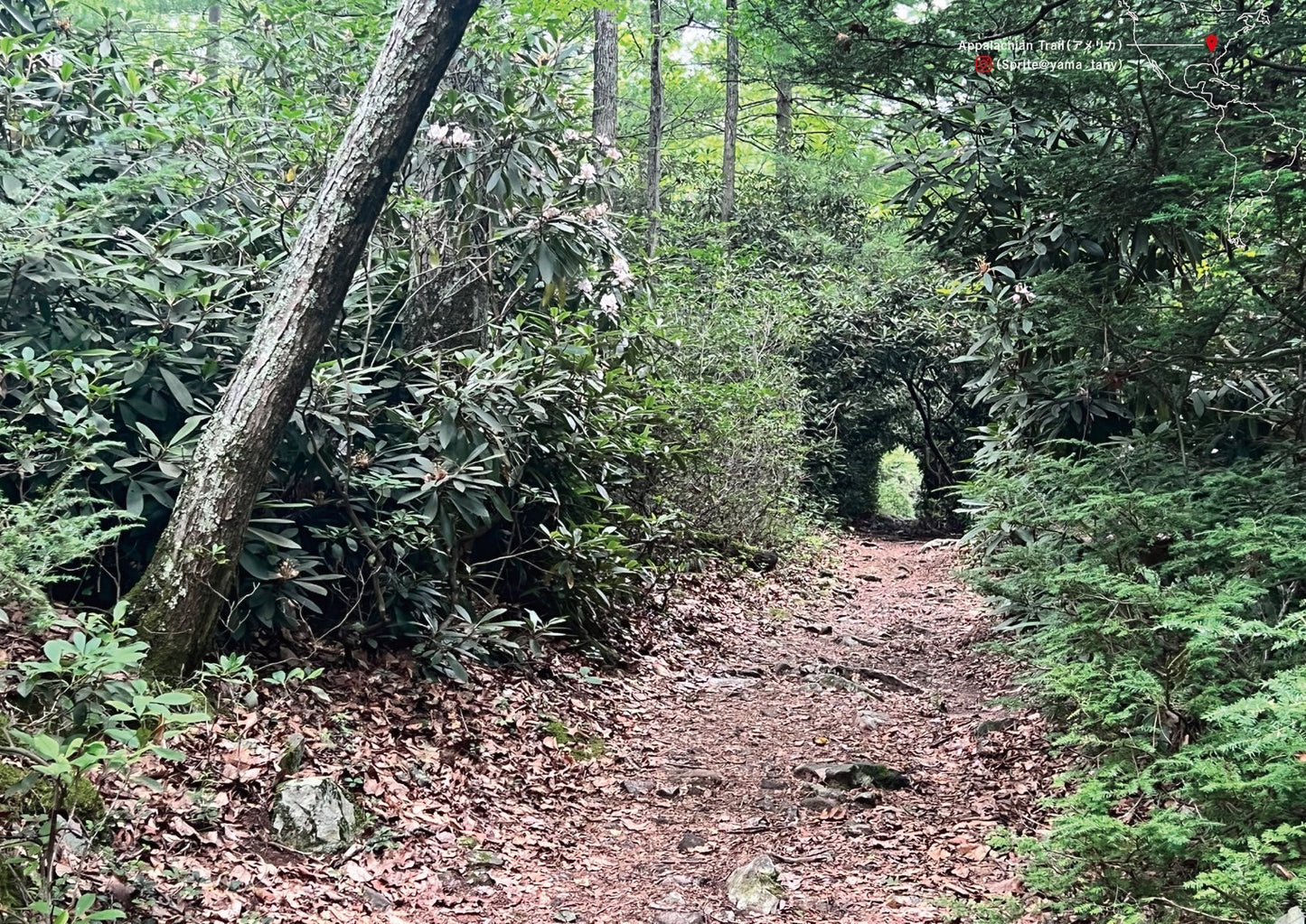 世界の歩き方2024カレンダー