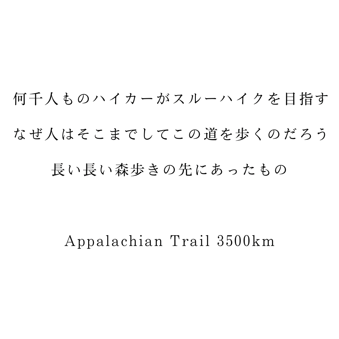 【予約販売】World gift -AT-