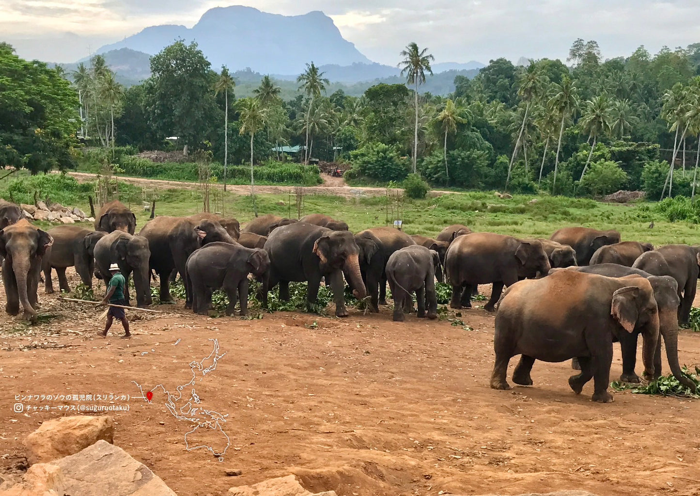 世界の歩き方2024カレンダー