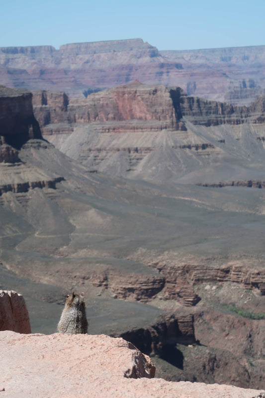 【A3】Arizona Trail