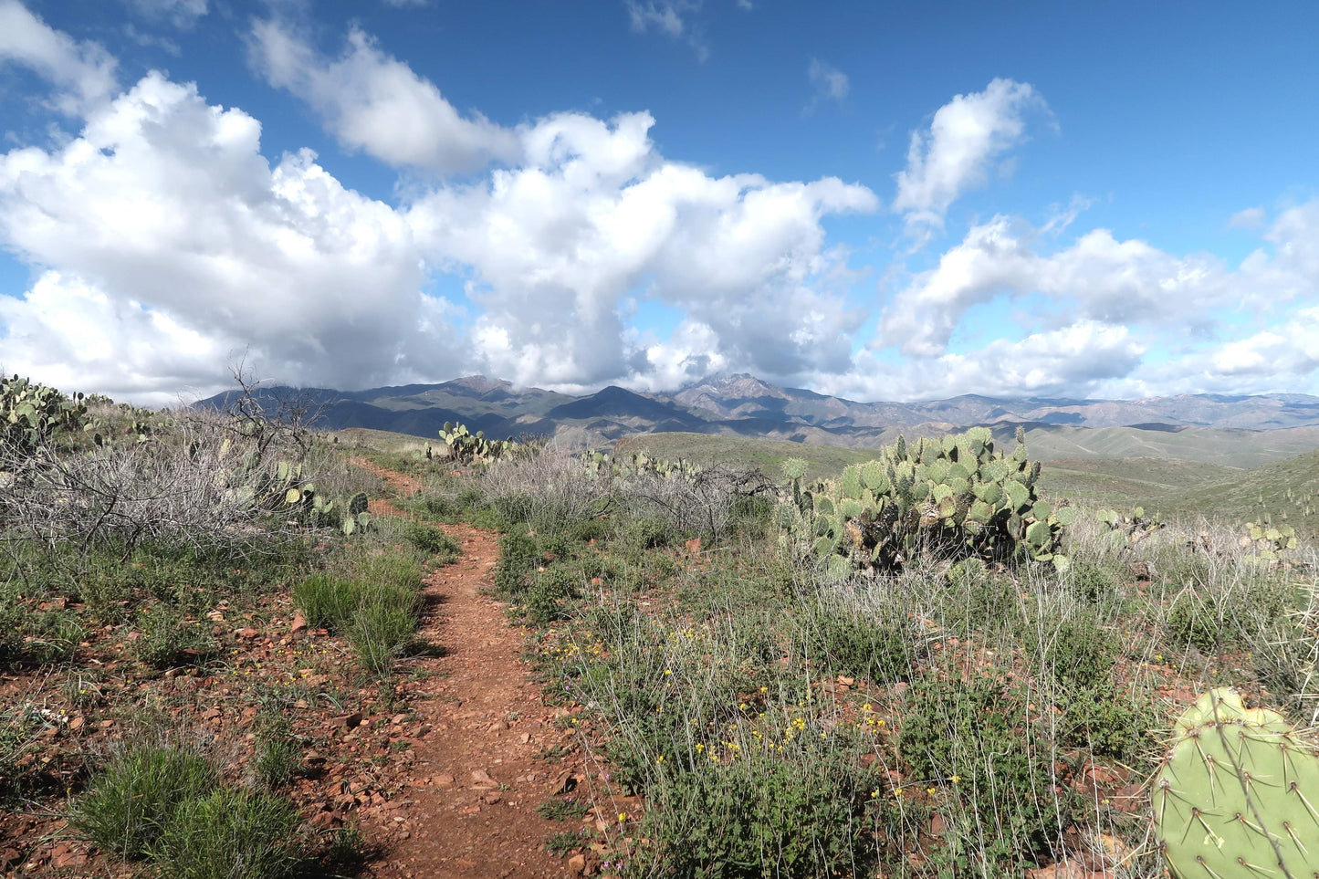 【A3】Arizona Trail